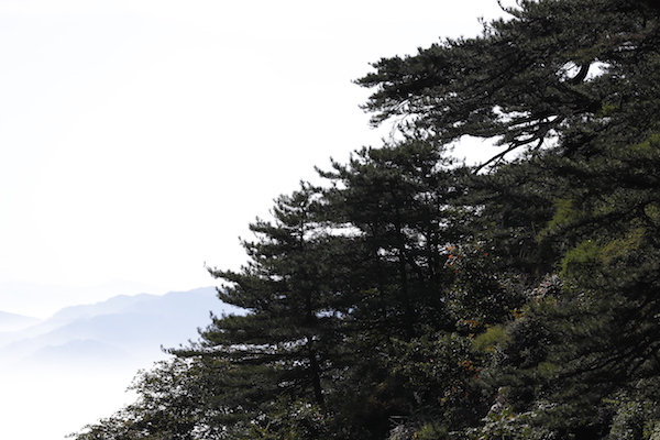 《人文化来》摄制组参礼“群山之尊”山东泰山